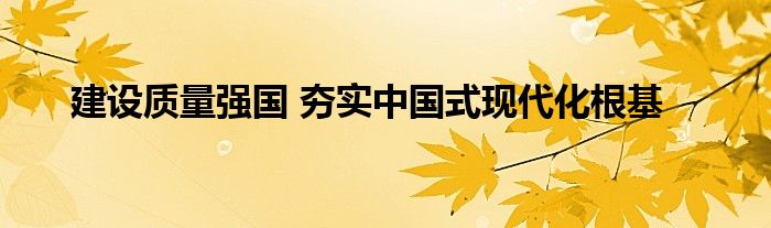 建设质量强国 夯实中国式现代化根基