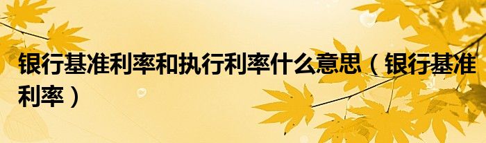 银行基准利率和执行利率什么意思（银行基准利率）