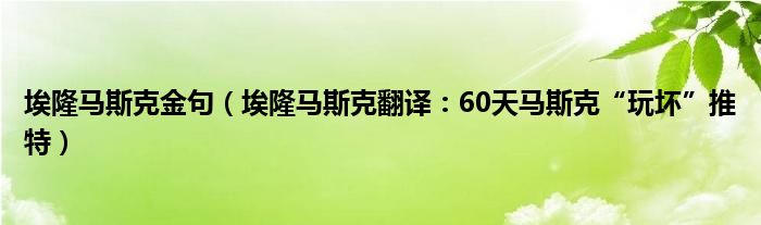 埃隆马斯克金句（埃隆马斯克翻译：60天马斯克“玩坏”推特）