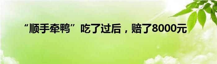 “顺手牵鸭”吃了过后，赔了8000元