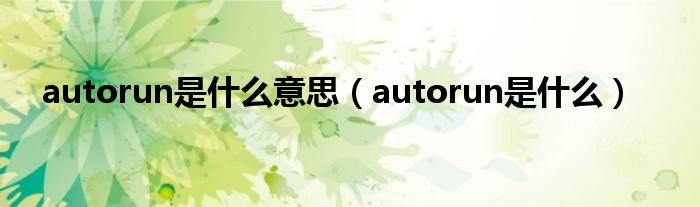 autorun是什么意思（autorun是什么）