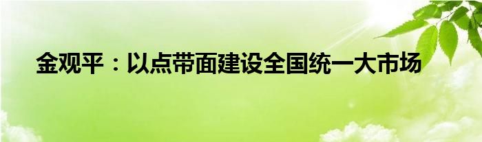 金观平：以点带面建设全国统一大市场