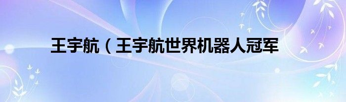 王宇航（王宇航世界机器人冠军