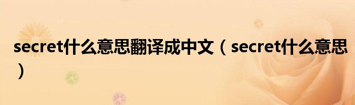 secret什么意思翻译成中文（secret什么意思）