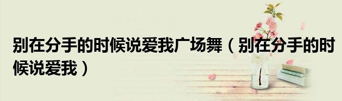 别在分手的时候说爱我广场舞（别在分手的时候说爱我）