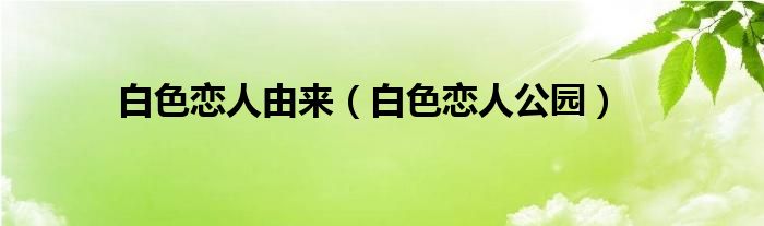 白色恋人由来（白色恋人公园）