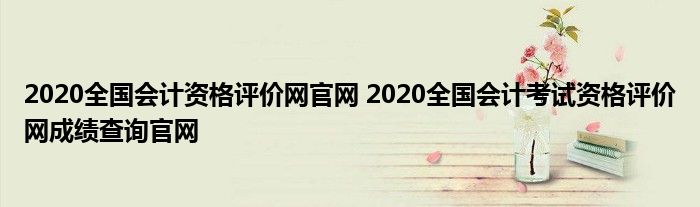 2020全国会计资格评价网官网 2020全国会计考试资格评价网成绩查询官网