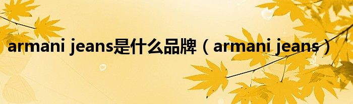 armani jeans是什么品牌（armani jeans）