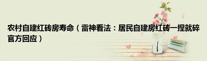 农村自建红砖房寿命（雷神看法：居民自建房红砖一捏就碎官方回应）