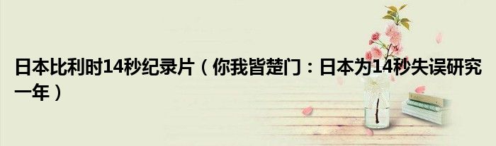 日本比利时14秒纪录片（你我皆楚门：日本为14秒失误研究一年）