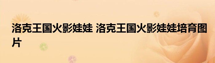 洛克王国火影娃娃 洛克王国火影娃娃培育图片