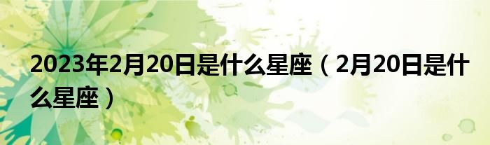 2023年2月20日是什么星座（2月20日是什么星座）
