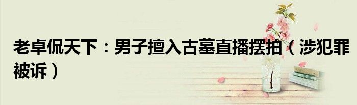 老卓侃天下：男子擅入古墓直播摆拍（涉犯罪被诉）