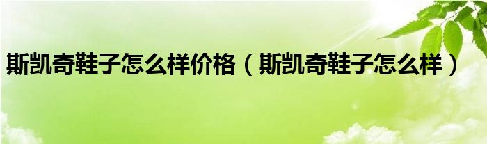 斯凯奇鞋子怎么样价格（斯凯奇鞋子怎么样）