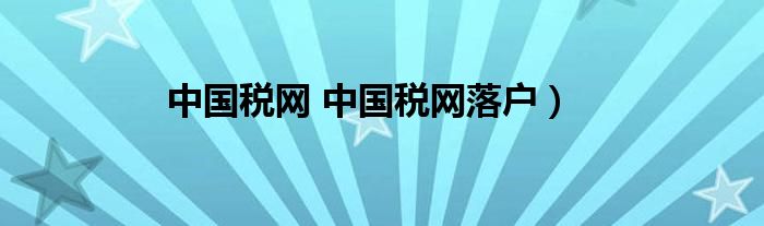 中国税网 中国税网落户）