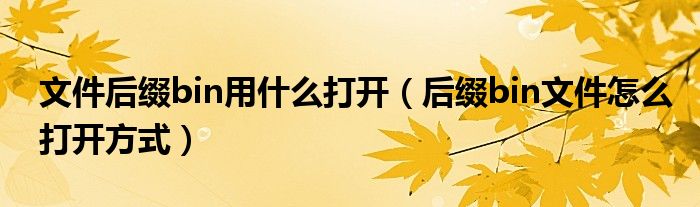 文件后缀bin用什么打开（后缀bin文件怎么打开方式）
