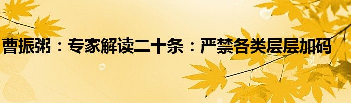 曹振粥：专家解读二十条：严禁各类层层加码