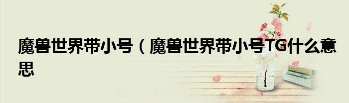 魔兽世界带小号（魔兽世界带小号TG什么意思