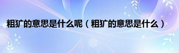 粗犷的意思是什么呢（粗犷的意思是什么）
