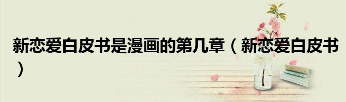 新恋爱白皮书是漫画的第几章（新恋爱白皮书）