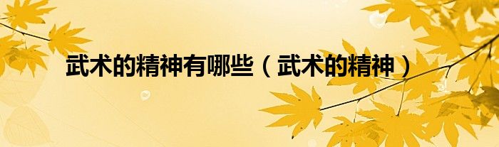武术的精神有哪些（武术的精神）