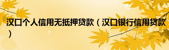 汉口个人信用无抵押贷款（汉口银行信用贷款）