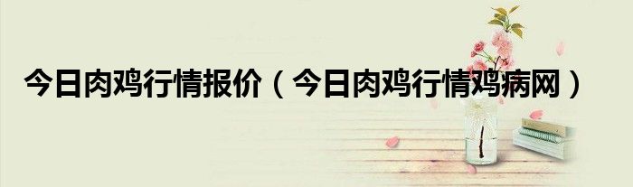 肉鸡服务器价格