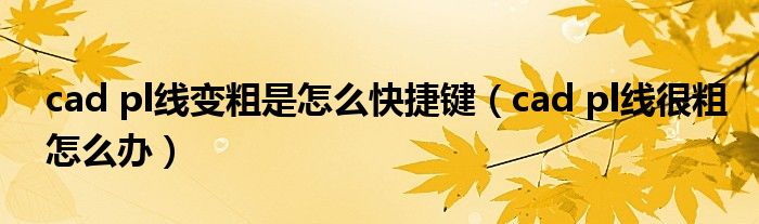 cad pl线变粗是怎么快捷键（cad pl线很粗怎么办）