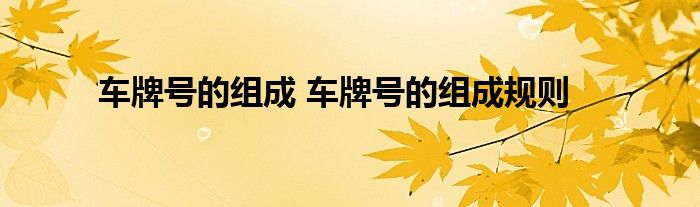 车牌号的组成 车牌号的组成规则