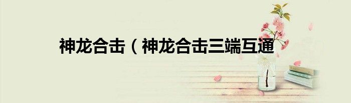 神龙合击（神龙合击三端互通