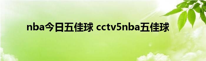 nba今日五佳球 cctv5nba五佳球