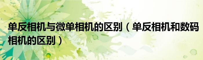 单反相机与微单相机的区别（单反相机和数码相机的区别）