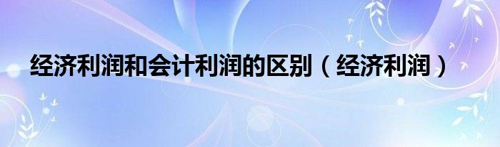 经济利润和会计利润的区别（经济利润）