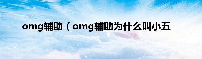 omg辅助（omg辅助为什么叫小五