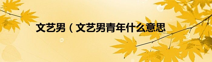 文艺男（文艺男青年什么意思