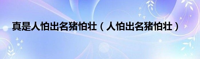 真是人怕出名猪怕壮（人怕出名猪怕壮）