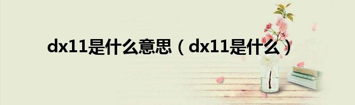 dx11是什么意思（dx11是什么）