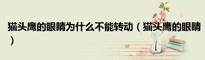 猫头鹰的眼睛为什么不能转动（猫头鹰的眼睛）