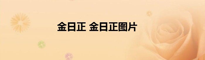 金日正 金日正图片