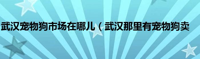 武汉宠物狗市场在哪儿（武汉那里有宠物狗卖