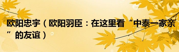 欧阳忠宇（欧阳羽臣：在这里看“中泰一家亲”的友谊）