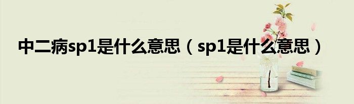 中二病sp1是什么意思（sp1是什么意思）