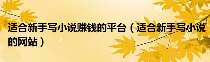 适合新手写小说赚钱的平台（适合新手写小说的网站）