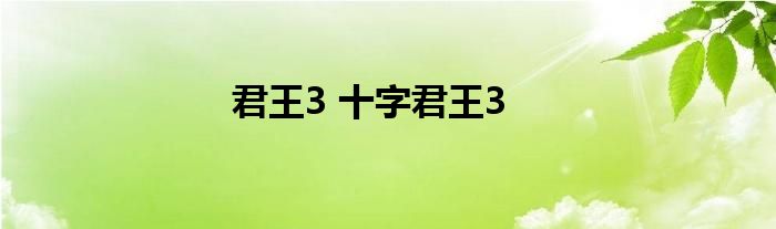 君王3 十字君王3