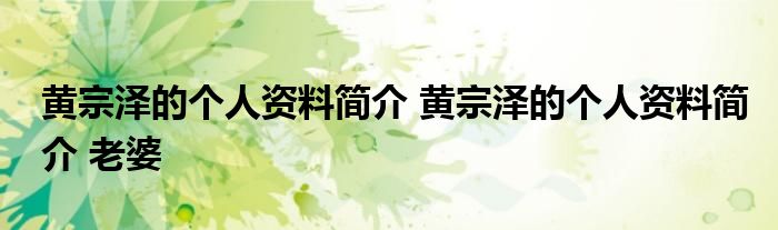 黄宗泽的个人资料简介 黄宗泽的个人资料简介 老婆