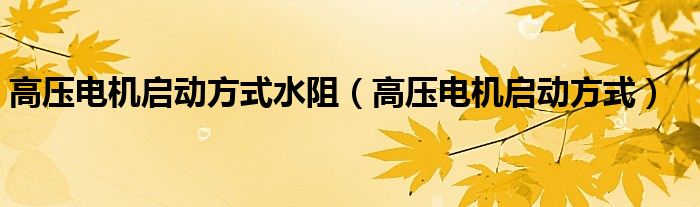 高压电机启动方式水阻（高压电机启动方式）