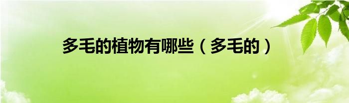 多毛的植物有哪些（多毛的）