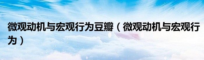 微观动机与宏观行为豆瓣（微观动机与宏观行为）