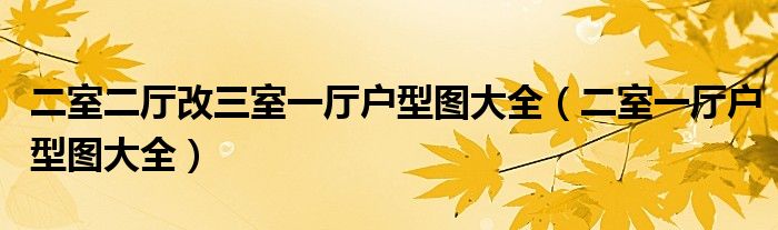 二室二厅改三室一厅户型图大全（二室一厅户型图大全）