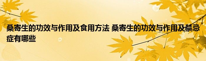 桑寄生的功效与作用及食用方法 桑寄生的功效与作用及禁忌症有哪些